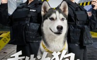 《重生为狗屡破大案震惊全网（80集）》精彩短剧完整版在线观看