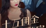 《十万佣金的秘密（30集）》免费短剧全集尽情看