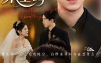 《老婆婚礼，我当证婚人&老婆婚礼我当证婚人&白纱未垂时（54集）》在线免费短剧一看到底