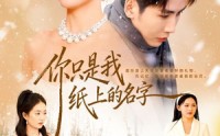 《你只是我纸上的名字（68集）》热门短剧无广告免费看