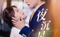 《夜沉星光（60集）》爆款短剧无删减版追看
