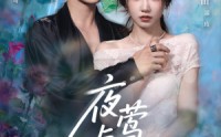 《夜莺与玫瑰（66集）》免费短剧高清全集观看