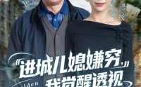 《进城儿媳嫌穷，我觉醒透视黄金瞳（85集）》超长短剧免费全集观看