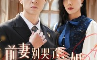 《前妻别哭了，是你说离婚的（42集）》在线看短剧无删减