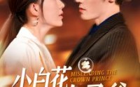 《小白花误惹太子爷（118集）》超长短剧免费在线观赏