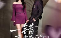 《一错再错的爱（38集）》精彩短剧全集畅快览