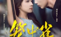 《笼中雀（65集）》精彩短剧无删减免费看