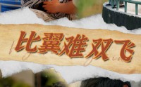 《比翼难双飞（30集）》高清短剧在线免费追看