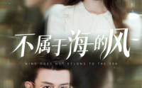 《不属于海的风（40集）》免费短剧畅快全集观