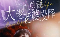 《大佬向总裁老婆投降了（93集）》精彩短剧免费全集畅看