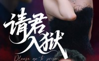 《请君入狱（31集）》免费短剧全集畅快追
