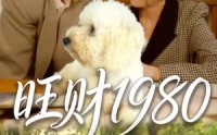 《旺财1980（83集）》完整短剧免费观看无删减