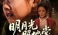 《明月光照地堂（40集）》免费短剧全集一键畅享