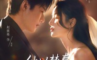 《他以焚春吻长夏（61集）》热门短剧免费完整看