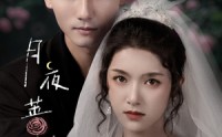 《月夜蔷薇(72集)》免费短剧全集随心看