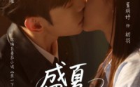 《盛夏亲吻你（81集）》超火短剧免费在线直追