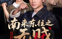 《南来东往之无贼（51集）》全集免费短剧高清观看
