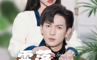 《雪落识潇尘（80集）》短剧完整版免费在线追