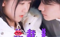 《总裁是闪婚老公（21集）》短剧全集免费畅快追完