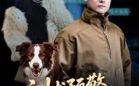 《训犬预警谁才是主人（55集）》热门短剧在线无卡顿观看