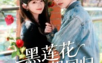 《黑莲花大小姐回归（80集）》短剧完整版免费追