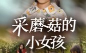 《采蘑菇的小女孩（37集）》全集短剧免费畅享观看