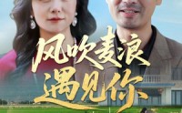 《风吹麦浪遇见你（60集）》免费短剧完整版在线