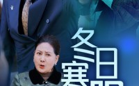《冬日寒阳（29集）》免费短剧完整版畅快追