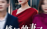 《愤怒的妻子（30集）》免费短剧完整版畅看