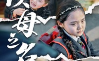 《新版：以母之名（35集）》短剧全集免费看个过瘾