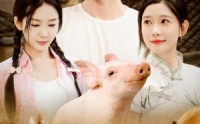 《开局一头猪我在荒年养全家（65集）》超长全集免费看不停