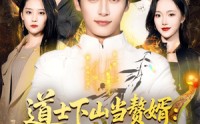 《道士下山当赘婿：离婚后开启逆袭路（75集）》精彩短剧免费全集直看