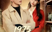 《1975古董黄金年代奋斗史（80集）》免费在线看短剧完整剧情