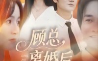 《顾总，离婚后情至陌路（62集）》完整版短剧在线免费追