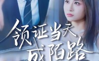 《领证当天成陌路（39集）》短剧全集免费轻松看