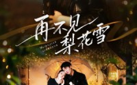 《再不见梨花雪（70集）》热门短剧全集免费赏