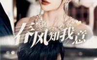 《春风知我意（74集）》免费短剧高清全集览