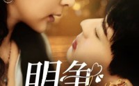 《明争暗宠（70集）》免费短剧无删减观看