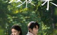 《夏夜有染（81集）》免费短剧全集爽快追剧