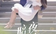 《暗夜情事（100集）》免费在线追短剧无广告
