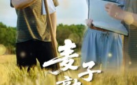 《麦子熟了（52集）》精彩短剧全集免费观赏
