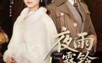 《夜雨霖铃梧桐落（51集）》热门短剧一口气看个够