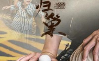 《新版：凤归巢（68集）》免费短剧无卡顿追剧