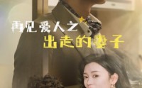 《再见爱人之出走的妻子（85集）》免费短剧全集流畅观看