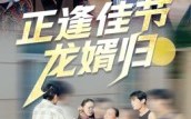 《正逢佳节龙婿归（42集）》短剧免费无广告观看