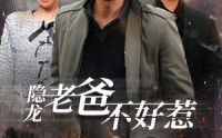 《隐龙老爸不好惹（82集）》免费在线短剧一口气看完
