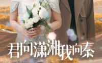 《君向潇湘我向秦（30集）》精彩短剧在线无扰尽情看