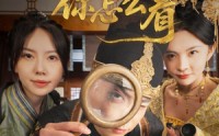 《公主，这案你怎么看（81集）》短剧免费看超高清版
