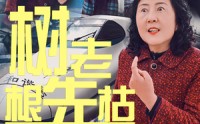 《树老根先枯（33集）》精彩短剧全集免费速览