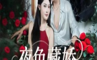 《夜色藏娇（65集）》短剧免费全集一览无余